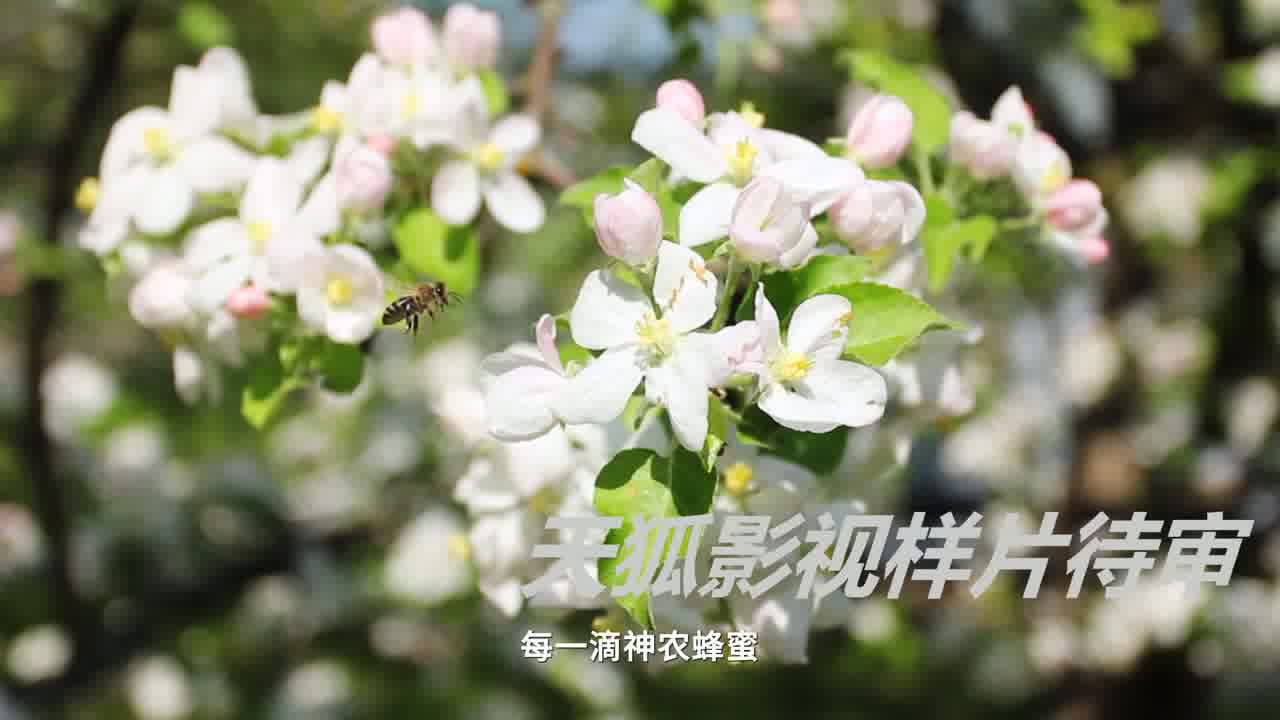 奋进新征程、建功新时代